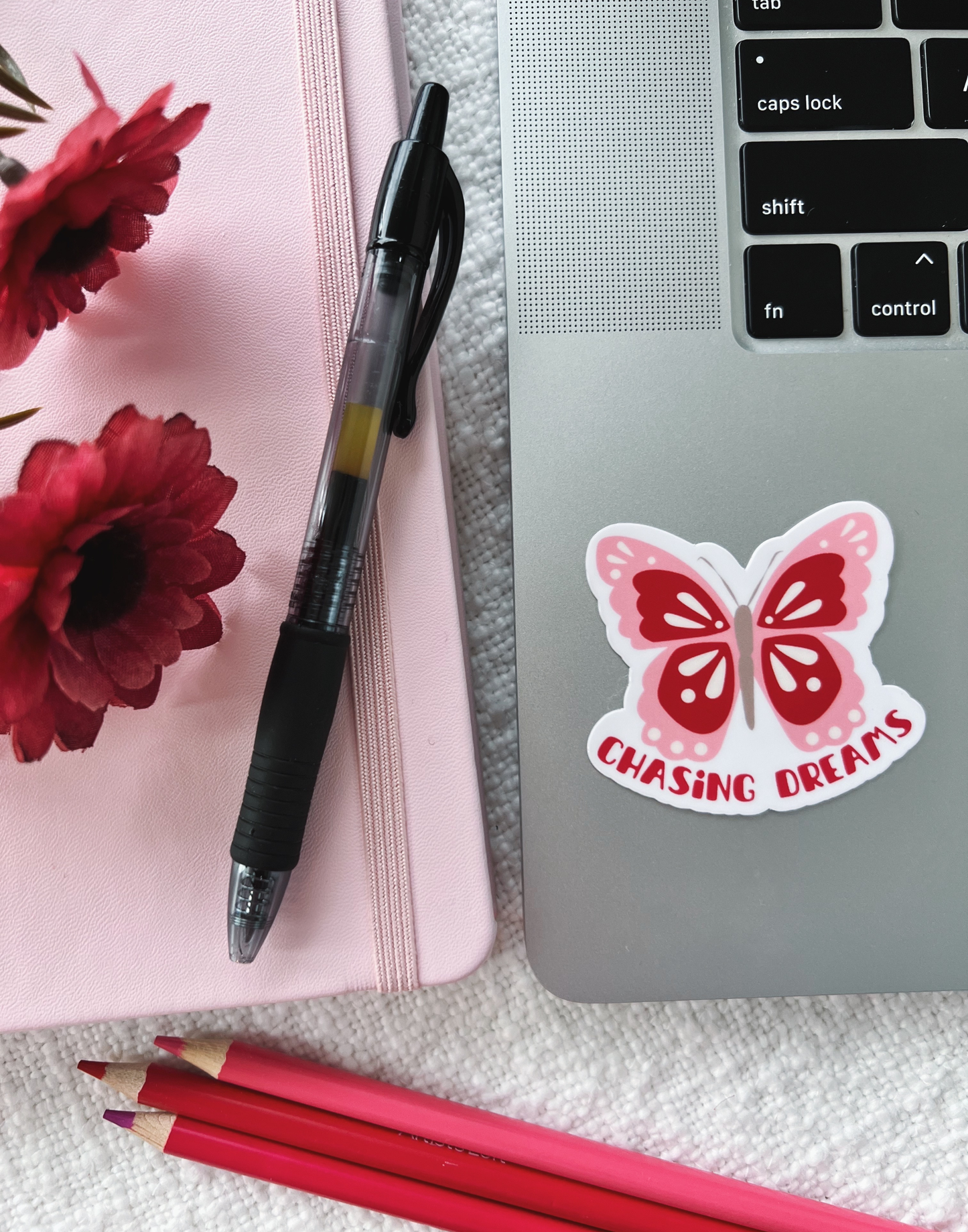 Chasing Dreams Sticker